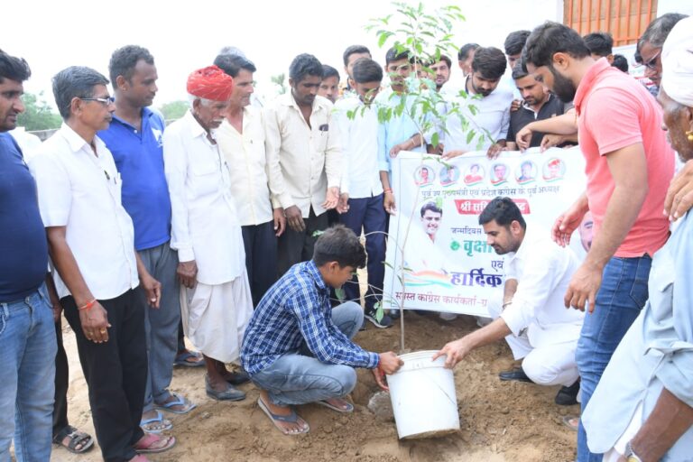 पायलट के जन्मदिवस पर सांचौर में शक्ति प्रदर्शन: युवा नेता ने एक ही दिन विधानसभा क्षेत्र में लगा दिए 8 हजार पौधे, आखिर क्या संकेत…!