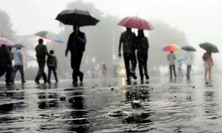 Heavy rain warning in all states