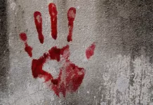 पत्नी के चरित्र पर शक बना हत्या का कारण दोनों आरोपी भाई गिरफ्तार Doubt on wife's character became reason for murder